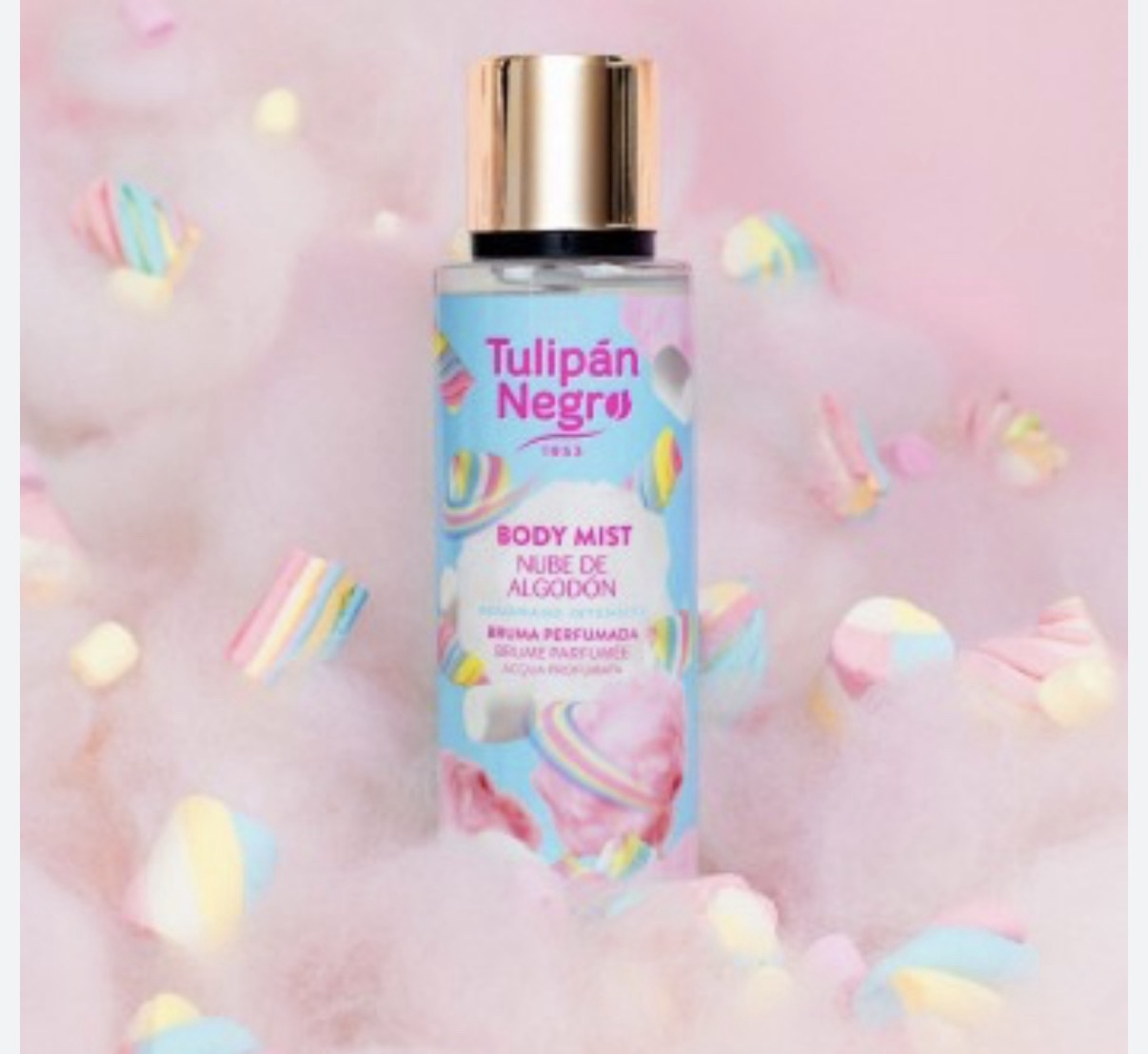 BRUMA TULIPAN NEGRO NUBE