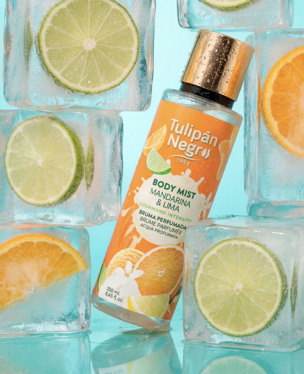 BRUMA TULIPAN NEGRO MANDARINA Y LIMA