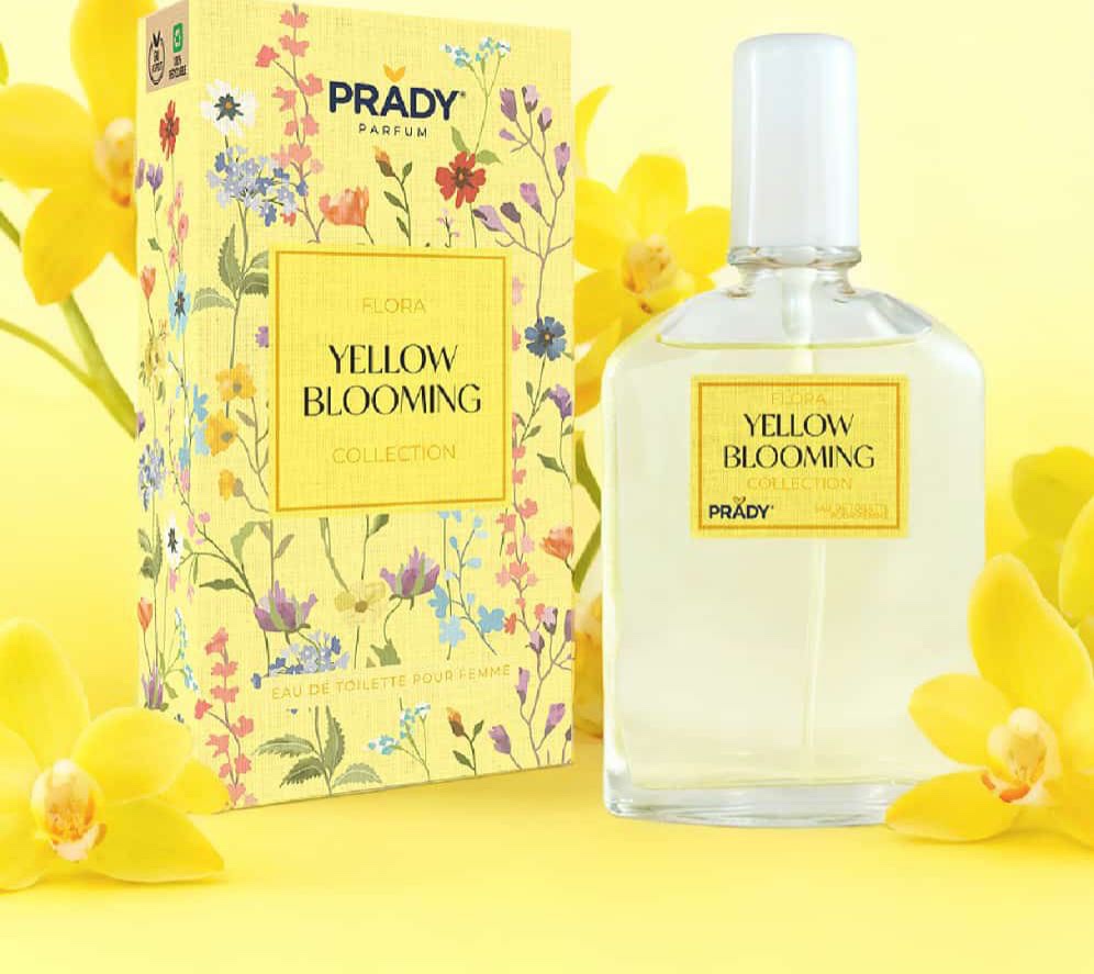COLONIA YELLOW BLOOMING